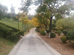-鹦鹉寺公园