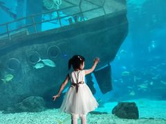 -福州罗源湾海洋世界旅游区