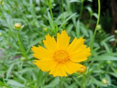 -杭州城北体育公园