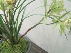 -九江美术馆
