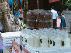 -Bamboo Saturday Market(Nana Jungle)