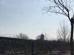 -永定河休闲森林公园