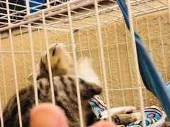 -逃脱反斗城沉浸剧情密室(北京路店)