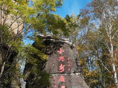 -汤旺河林海奇石景区