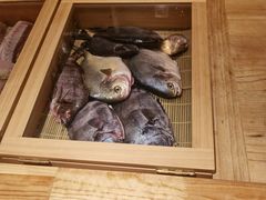 -镹·鱼料理  国产鱼使用店