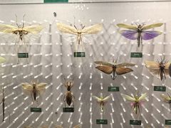 -国家自然博物馆