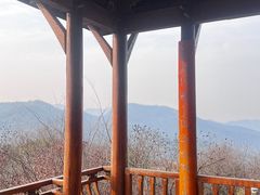 -中国茶叶博物馆(双峰馆区)
