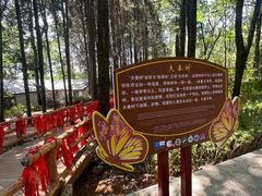 -蝴蝶泉公园