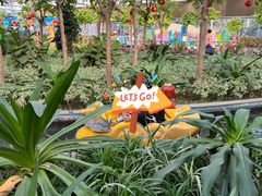 -南宫五洲植物乐园