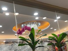 -椿记烧鹅(北门店)