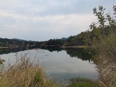-陈大锅·岳阳鱼馆·地道岳阳菜(美食街店)