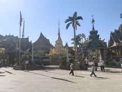 -西双版纳傣族园