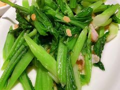 春菜-潮人姐妹轩(海宁路店)