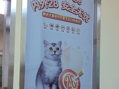 -瑞派宠物医院·24h·骨外科·皮肤科·全科宠物医疗转诊中心(沈阳浑南院)