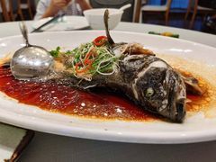 清蒸老虎斑-南景饭店(万家丽路店)