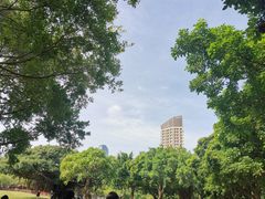 -万绿园