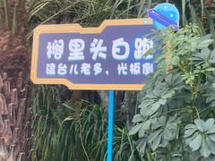 -郑州银基黄帝宫御温泉