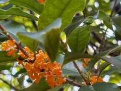 -杭州城北体育公园