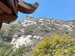 -大岭沟猕猴桃谷风景区