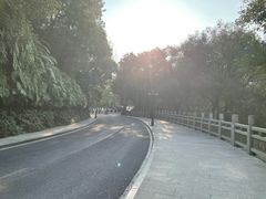 -西樵山风景名胜区-天湖公园