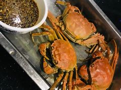 -胶东海鲜大排档(北太平庄店)