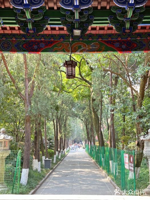 南岳大庙图片
