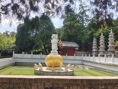 -泰山风景名胜区-普照寺