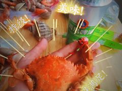 -南戴河海滨市场
