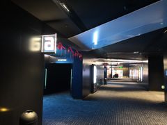 -奥斯卡升龙国际影城(RealD Cinema)