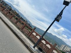 -老字号怡玺·藿香雅鱼(20年雅安店)