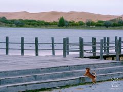 -亿利库布其七星湖沙漠生态旅游区