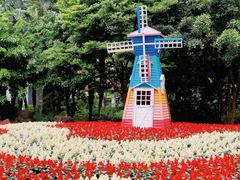 -上海共青森林公园