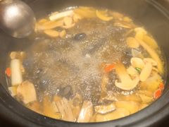 -滇野云南野生菌餐厅(陕西南路店)