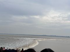-观潮胜地公园
