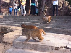 iphone_upload_pic-广州市流溪河国家森林公园