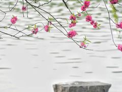 -苏堤停车场