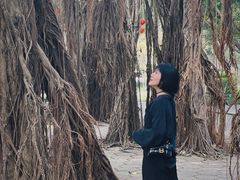 -北海市海滨公园