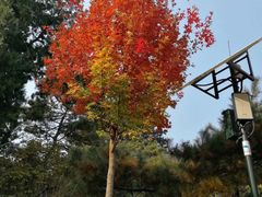 -香山公园-东宫门售票处