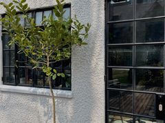 -一尺花园(安和花园店)