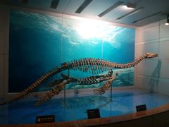 -自贡恐龙博物馆