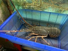 -班赞海鲜市场