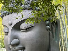 -杭州植物园