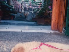 -八木轩·寻味大理白族民俗餐厅(文献路店)
