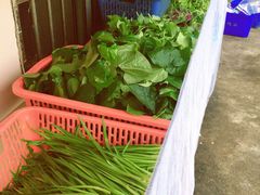 -霞姐屯昌枫木香草鸭店(海螺店)