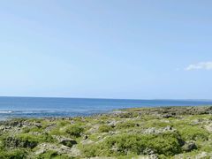 android_upload_pic-鹅銮鼻公园