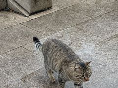 -重元寺香积厨素斋馆