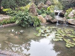 -晓港公园