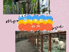 -前小桔亲子创意农场·草莓采摘·露营烧烤