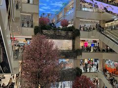 -魏家凉皮(大差市店)