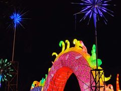 -武汉园博园(武汉自然博物馆)